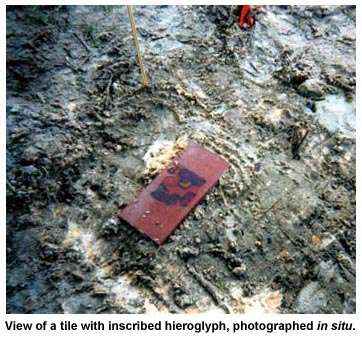 View of a tile with inscribed hieroglyph, photographed in situ. View of a tile with inscribed hieroglyph, photographed in situ.