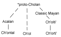 Ch'olan sub-branch of Mayan languages