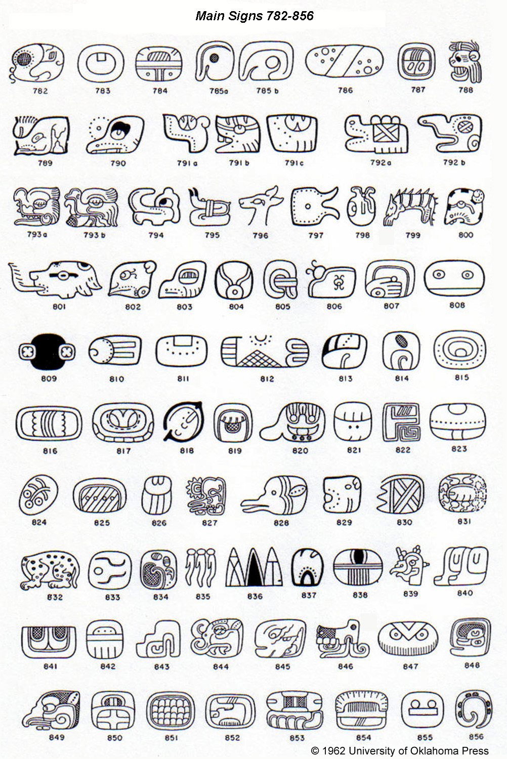 Mayan Glyph Chart