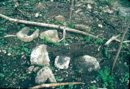 Figure 15. Metate Concentration. Figure 15. Metate Concentration.
