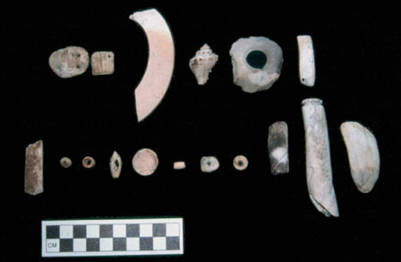 Figure 18a. Marine Shell. Figure 18a. Marine Shell.
