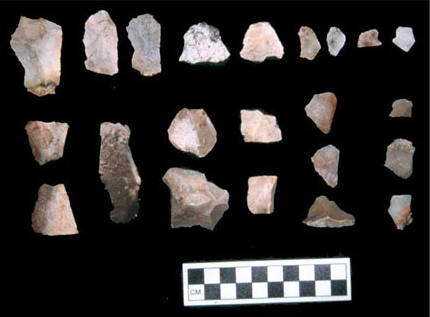 Figure 20. Lithic Flakes. Figure 20. Lithic Flakes.