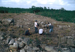 Figura 27. Recolección de superficie en Mayapán, 2001.