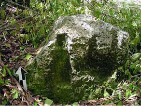 Figure 3. Stela 1, Uaymil