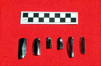 Figure 7. Obsidian blades