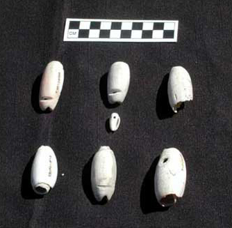 Figure 13. Shell pendants