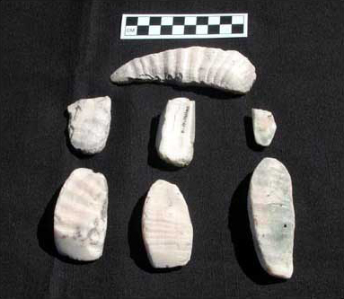 Figure 14. Celts found at Uaymil