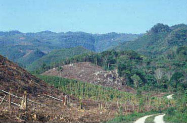 Figure 1: The dark streak on the side of Misopa' Mountain is the Ixtelja River gorge. Jolja' is located at the top of the gorge.
