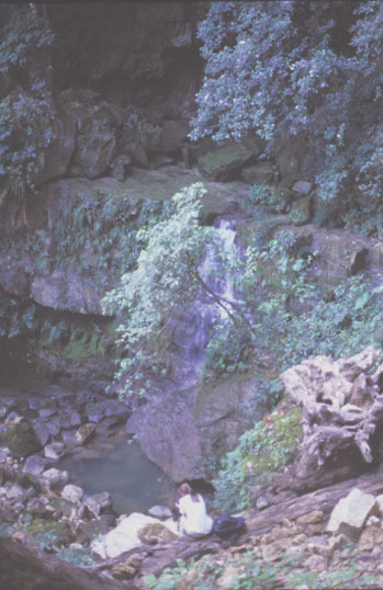 Figure 2: Headwaters of Ixtelja River flowing from the mouth of Jolja' Cave #2. Project member, Christina Halperin in foreground.
