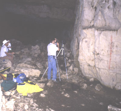 Figure 14: Group 5 paintings. Jorge Pérez de Lara and Domingo Pérez Moreno. (Joloniel president). Figure 14: Group 5 paintings. Jorge Pérez de Lara and Domingo Pérez Moreno. (Joloniel president).
