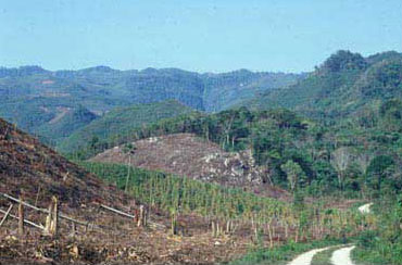 Figura 1: La raya oscura en el borde de la montaña Misopa' es la garganta del río Ixtelja. Jolja' se localiza en lo alto de la garganta.