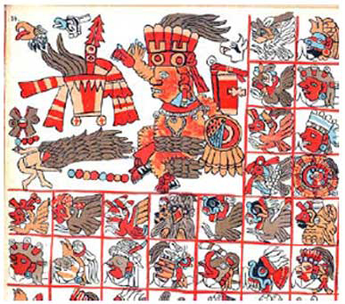 Figure 4: Tonalamatl Aubin - Xipe as the patron of the trecena 1 Dog bearing the tripartite shield (Tonalamatl Aubin 1981) Figure 4: Tonalamatl Aubin - Xipe as the patron of the trecena 1 Dog bearing the tripartite shield (Tonalamatl Aubin 1981)