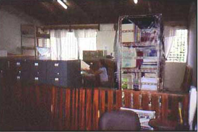 Link to Figure 2a: CRIA Library after reorganization (May 2001). Wooden divider separates archive and research table (out of view to left) and computer (to right). Laura Flores at work in background.