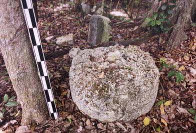 Plate 1.2: Column drum at Kulub&aacute; Group C, Structure 7 (Andrews IV's Structure 9).