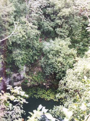 Plate 5.1: The cenote at Yokat. Plate 5.1: The cenote at Yokat.