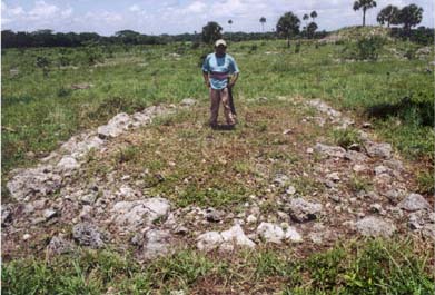 Plate 6.3: View northwest to Ichmul de San Jose Structure 14; Structure 8 is in the right background.