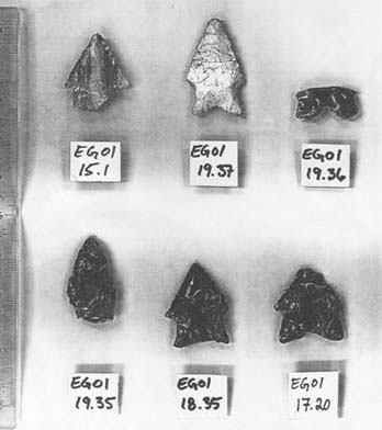 Figure 5. Projectile points recovered from secure contexts. Figure 5. Projectile points recovered from secure contexts.