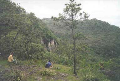 Figure 6. View of El Gigante project study area.