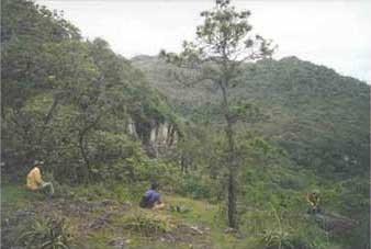 Figure 6. View of El Gigante project study area.