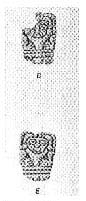 Figure 1. S&aacute;enz, 1963a.