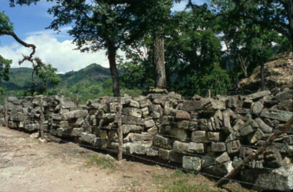 Figure 8. 1999 Photograph of Sculpture Pile 10 on the East Court. This is all 10L-22 Sculpture from Carnegie Excavations in 1939. (Author photo.)