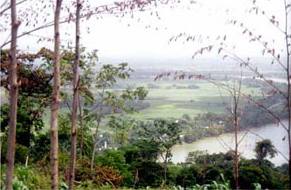 Figure 8. View of the Usumacinta coastal plain from Group B's Structure 13. Figure 8. View of the Usumacinta coastal plain from Group B's Structure 13.