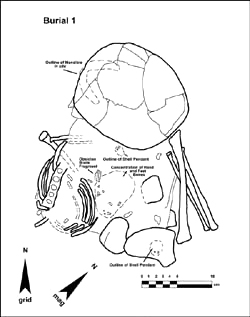 Figure 5. Burial 1, Unit 1. Click on image to enlarge.