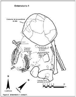 Figura 5. Burial 1, Unit 1. Haga clic sobre la imagen para agrandar.