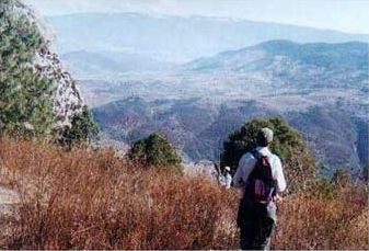 Plate 1. Mapping at El Peñasco.