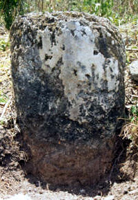 Figure 2. Stela at El Mameyal, looking east.