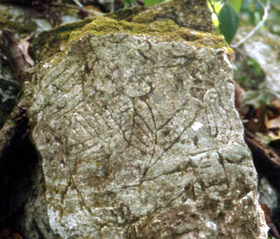 Figure 14. Altar de los Reyes, Southeast Group, stone block with a carving.