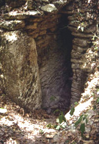 Figure 18. Balakbal, Structure V, south room with Stela 3, looking northwest.