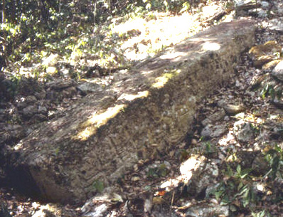 Figure 20. Balakbal, Stela 5, looking northwest. Figure 20. Balakbal, Stela 5, looking northwest.