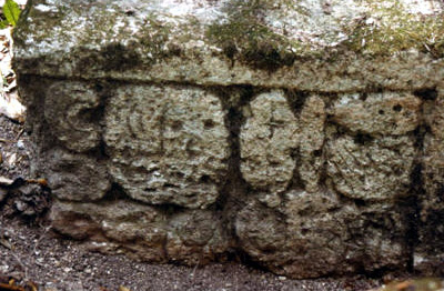 Figure 24. Altamira, detail of Stela 10.