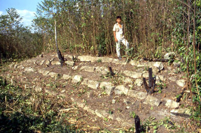 Figure 25. Guillermo Prieto, structure with a stairway, looking northeast. Figure 25. Guillermo Prieto, structure with a stairway, looking northeast.