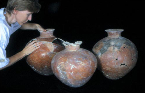 Figure 4. Restored vessels.