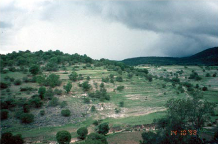 Figure 4. View of Nicayuhu and surrounding land.