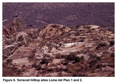 Figure 5. Terraced hilltop sites Loma del Plan 1 and 2.