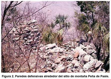 Figura 2. Paredes defensivas alrededor del sitio de montaña Peña de Pasle. Figura 2. Paredes defensivas alrededor del sitio de montaña Peña de Pasle.