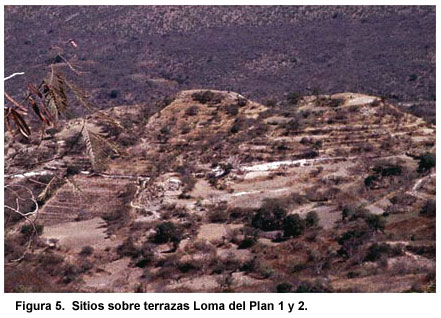 Figura 5. Sitios sobre terrazas Loma del Plan 1 y 2.