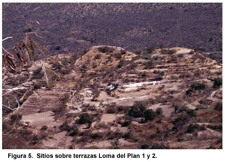 Figura 5. Sitios sobre terrazas Loma del Plan 1 y 2. Figura 5. Sitios sobre terrazas Loma del Plan 1 y 2.