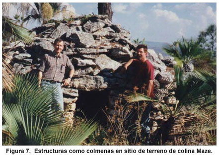 Figura 7. Estructuras como colmenas en sitio de terreno de colina Maze. Figura 7. Estructuras como colmenas en sitio de terreno de colina Maze.
