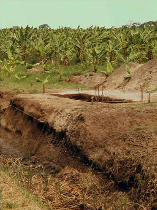 Figure 3. Location of Suboperation 1 in relation to 220 m profiled section of irrigation canal, looking northwest. Figure 3. Location of Suboperation 1 in relation to 220 m profiled section of irrigation canal, looking northwest.