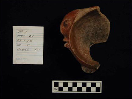 Figure 5. Locona phase effigy fish bowl. Figure 5. Locona phase effigy fish bowl.