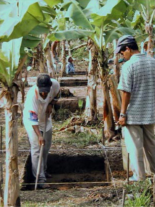 Figure 7. View of 4 of the 17 units excavated as Suboperation 2, looking south. Figure 7. View of 4 of the 17 units excavated as Suboperation 2, looking south.