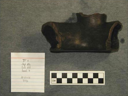 Figure 8. Part of a quadripartite ceramic vessel recovered from a Conchas phase level of Suboperation 2l. Figure 8. Part of a quadripartite ceramic vessel recovered from a Conchas phase level of Suboperation 2l.