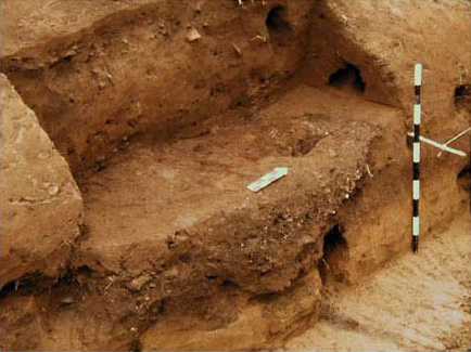 Figure 13. A Cherla phase pit feature full of shell and faunal remains documented under Mound 1 as Suboperation 3c. Figure 13. A Cherla phase pit feature full of shell and faunal remains documented under Mound 1 as Suboperation 3c.