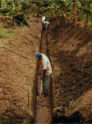 Figure 14. Beginning to clean the 50 m profile documented as Suboperation 5, looking north. Figure 14. Beginning to clean the 50 m profile documented as Suboperation 5, looking north.