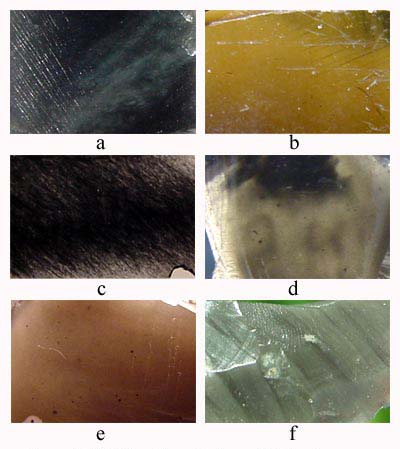 Figure 2. Obsidian "types": (a) grayish-black, (b) green, (c) black-gray "Toluca Valley", (d) gray, (e) brown, (f) greenish-gray. Figure 2. Obsidian "types": (a) grayish-black, (b) green, (c) black-gray "Toluca Valley", (d) gray, (e) brown, (f) greenish-gray.