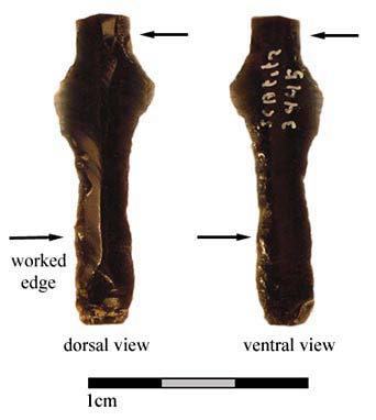Figure 4. Utilized "T-shape" prismatic blade. Figure 4. Utilized "T-shape" prismatic blade.